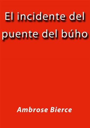 Cover of El incidente del puente del buho
