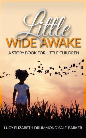 Cover of the book Little Wide Awake - A story book for little children by Danu Morrigan