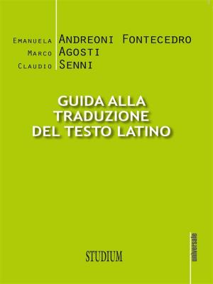 Cover of the book Guida alla traduzione del testo latino by Marisa Vicini