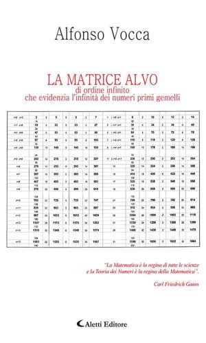 bigCover of the book LA MATRICE ALVO di ordine infinito che evidenzia l’infinità dei numeri primi gemelli by 
