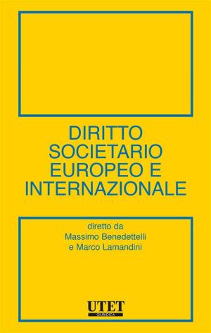 Cover of the book Diritto societario europeo e internazionale by Filippo Romeo (a cura di)