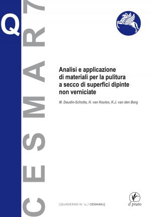 Cover of the book Analisi e applicazione di materiali per la pittura a secco di superfici dipinte non verniciate by Marco Callegari