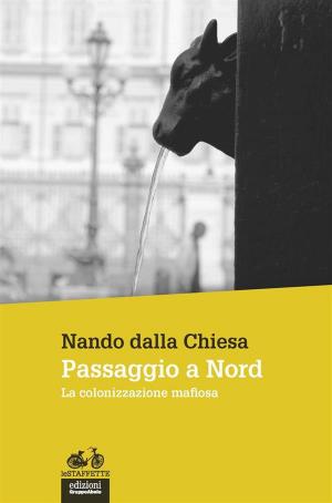 Cover of the book Passaggio a Nord by Giuseppe Bronzini