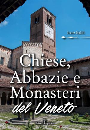 Cover of the book Chiese, Abbazie e Monasteri del Veneto by Susanna Berginc
