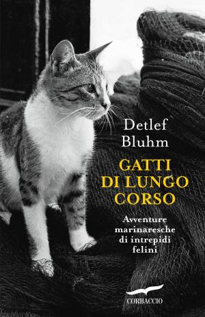 Cover of the book Gatti di lungo corso by Elena Dak