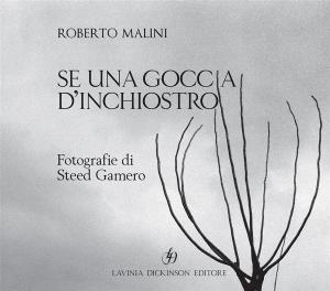 Cover of the book Se una goccia d'inchiostro by Roberto Malini - Daniela Malini, Roberto Malini, Daniela Malini