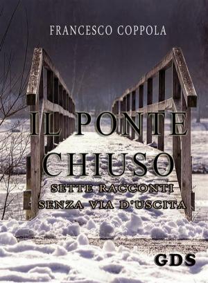 Cover of the book Il ponte chiuso- sette racconti senza via d'uscita by Quinn Dallas
