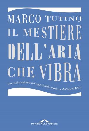 Cover of the book Il mestiere dell'aria che vibra by Elda Lanza