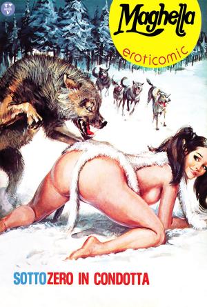 Cover of Sottozero in condotta