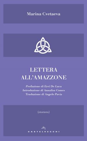Cover of the book Lettera all'amazzone by Marco Gasparini, Claudio Razeto