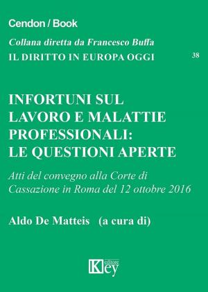 Cover of the book Infortuni sul lavoro e malattie professionali. Le questioni aperte by Valerio de Gioia
