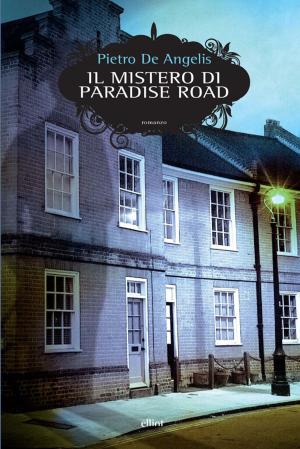 Cover of the book Il mistero di Paradise Road by Manlio Cancogni
