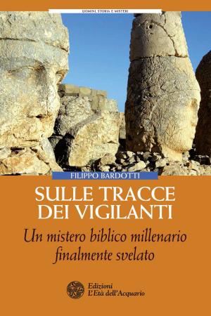 Cover of the book Sulle tracce dei Vigilanti by Luigi Miano