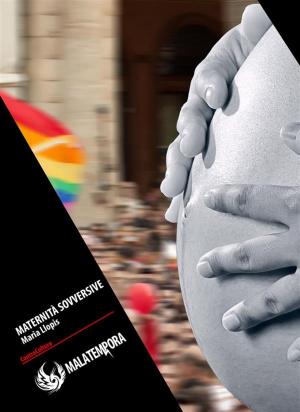 Cover of the book Maternità Sovversive by Susanna Paasonen