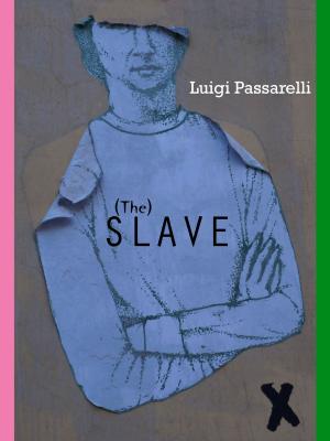 Cover of the book The Slave by Angelo Grassia