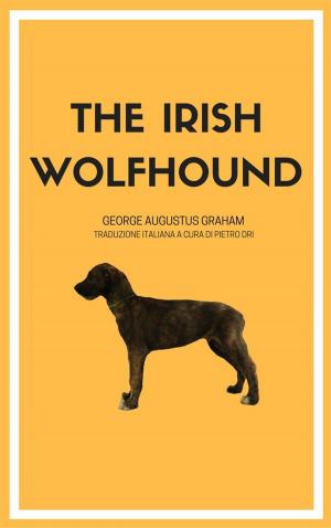 Book cover of The Irish Wolfhound