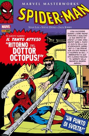 Cover of Amazing Spider-Man 2 (Marvel Masterworks)