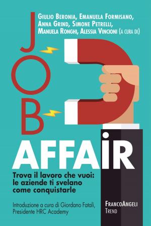 Cover of the book Job affair by Carmela Bianco