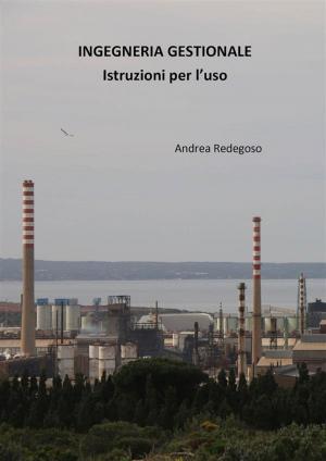 Cover of the book Ingegneria gestionale - Istruzioni per l'uso by Maurizio Melandri