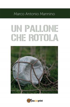 Cover of the book Un pallone che rotola by Alessandro Cerri