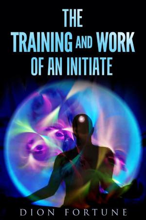 Cover of the book The training and work of an initiate by Nicolò Maniscalco
