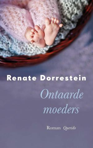 Book cover of Ontaarde moeders
