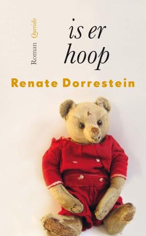 Cover of the book Is er hoop by Robert van Eijden