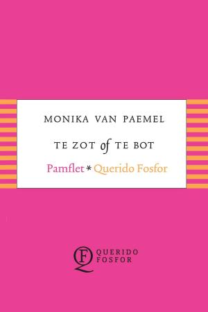 Cover of the book Te zot of te bot by Naima el Bezaz