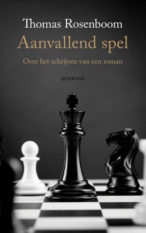 Cover of the book Aanvallend spel by Lucas Zandberg