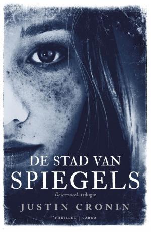Book cover of Stad van spiegels