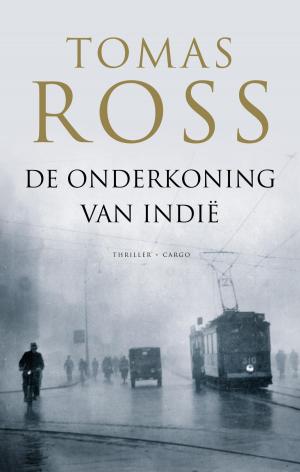 Cover of the book De onderkoning van Indië by Allard Schröder