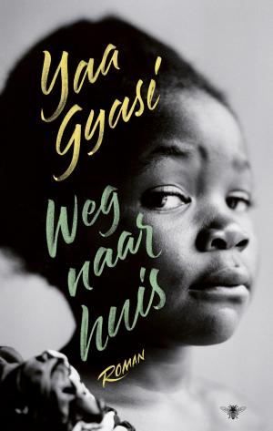 Cover of the book Weg naar huis by James Patterson