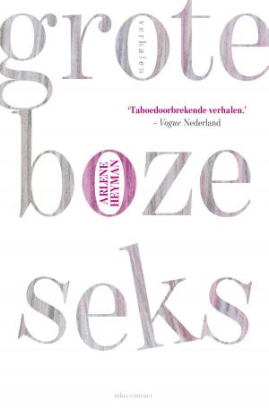 Cover of the book Grote boze seks by Maarten van der Graaff