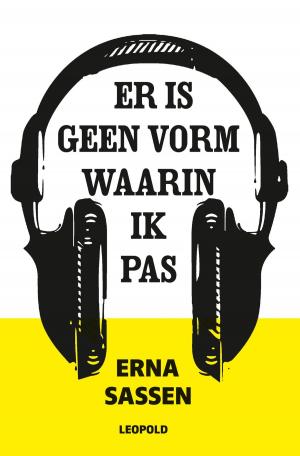 Cover of the book Er is geen vorm waarin ik pas by Lydia Rood