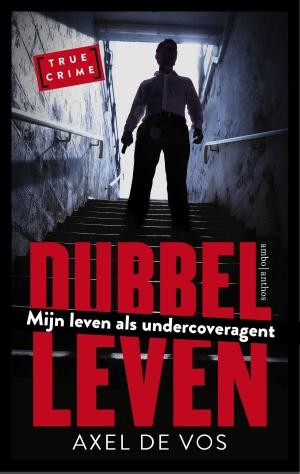 Cover of the book Dubbel leven by Alberto Camerra