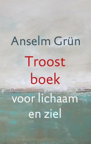 Cover of the book Troostboek voor lichaam en ziel by Eckhart Tolle