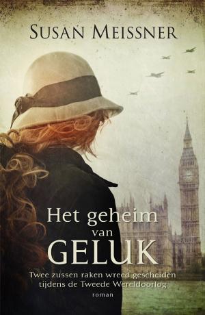 Cover of the book Het geheim van geluk by Steven James