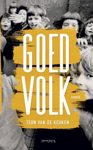 Cover of the book Goed volk by Ewald Engelen