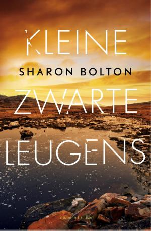 Cover of the book Kleine zwarte leugens by Ian Caldwell