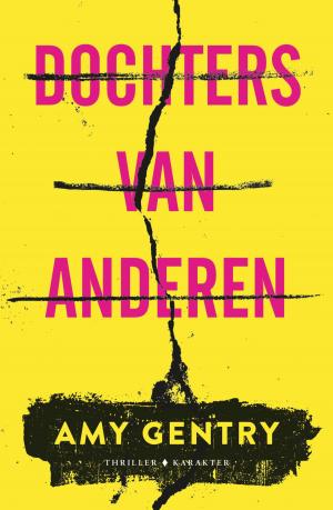 Cover of the book Dochters van anderen by Joshua Hood