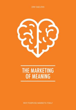 bigCover of the book The Marketing of Meaning by 