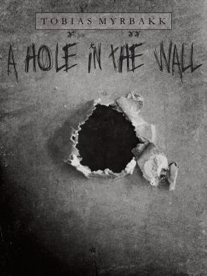 Cover of the book A hole in the wall by Oscar Wilde