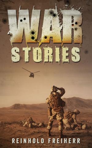 Cover of the book War Stories by Jutta Hellmann