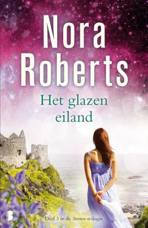 Cover of the book Het glazen eiland by Puk Damsgard