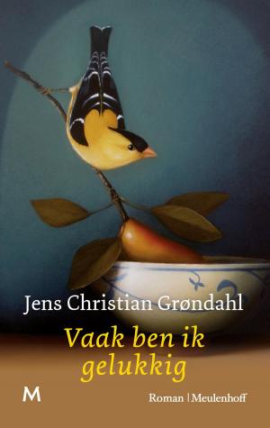 Cover of the book Vaak ben ik gelukkig by Samantha Stroombergen