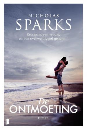 Cover of the book De ontmoeting by Jeffrey Archer