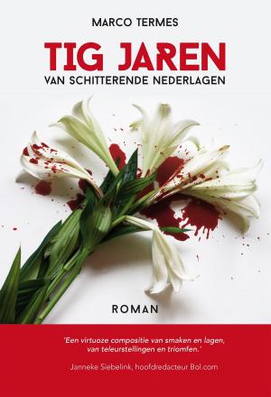 Cover of the book Tig jaren van schitterende nederlagen by Dennis Verweijen