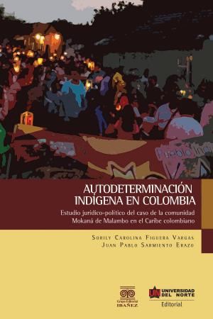 Cover of the book Autodeterminación indígena en Colombia by Francisco Moreno, Norma Marthe, Luis Alberto Rebolledo