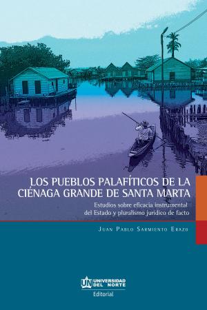 Book cover of Los pueblos palafíticos de la Ciénaga grande de Santa Marta