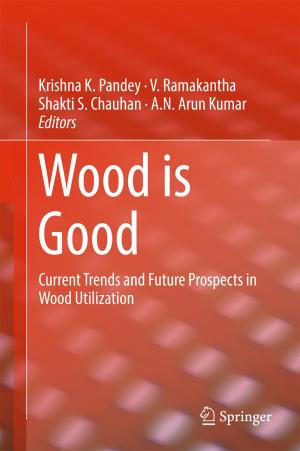 Cover of the book Wood is Good by Zheng Qin, Huidi Zhang, Xin Qin, Kaiping Xu, Kouemo Ngayo Anatoli Dimitrov, Guolong Wang, Wenhui Yu